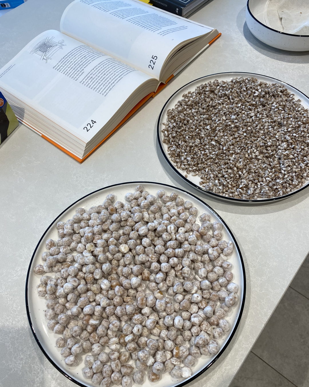 Grain to Glory: The Art and Science of Koji Fermentation