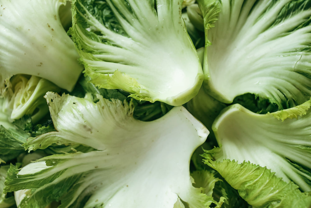 A Flavourful Future: How Fermentation Fights Food Waste