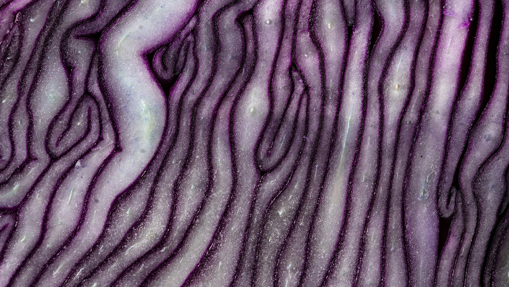 Gut Feelings: Why Your Body Loves Fermented Foods